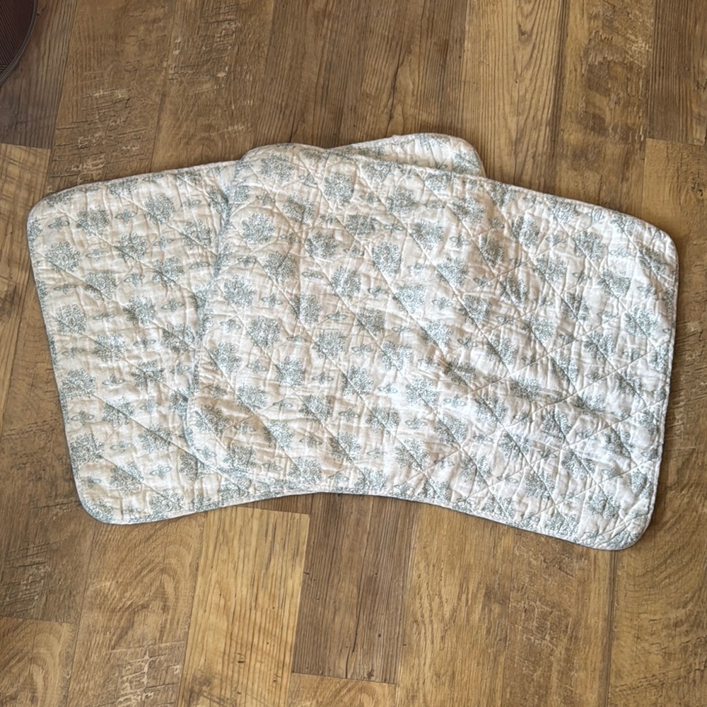 Set of 2 Shabby Chic as Standard Quilted Floral Shams 20”x27”